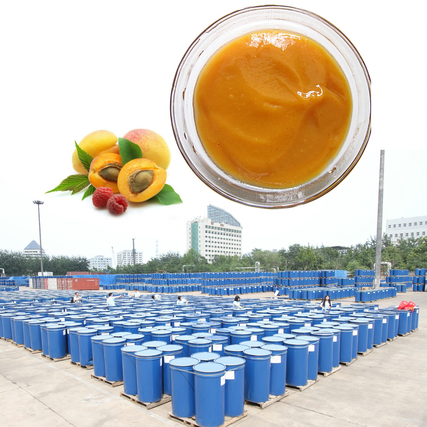 Fruit Puree Concentrate
